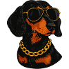 Dachshund in Bling Sunglasses