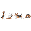 Chiens mignons 