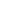 Bison