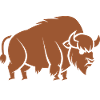 Bison