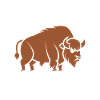 bison