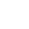 Bison