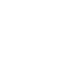 bison