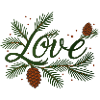 Love lettering with wintry fir branches