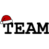 Team Christmas Christmas Hat