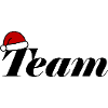 Team Christmas Christmas Hat