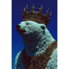 bear_king