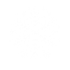 Snowflake Costume Winter Christmas Matching
