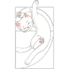 Fibonacci Spiral Cat