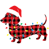 Chien Teckel Noël Plaid Rouge Carreaux