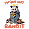 Funny Opossum