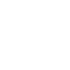 AIDAN