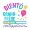 Bientôt Grand Frère en Attente