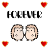 Hérisson Amour pour toujours