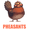 Pheasants Pheasant