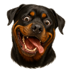 Happy Rottweiler Face with Tongue