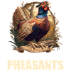 Pheasants Pheasant