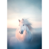 Cheval