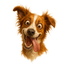 Laughing dog with tongue