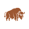 bison