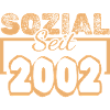 Social Worker 2002