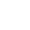 Viking Skull with Horns