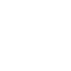 Crown Skull Graphic