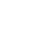 Skull Indian