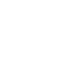 Elephant on Bicycle