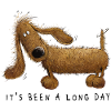 Funny Dachshund Dachshund Sayings Gift