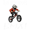 Boy loves BMX