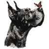 Great Dane with Red Butterfly