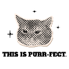 Le Chat Ronron-parfait