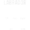 Labrador Tricks