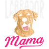 Labrador Tricks