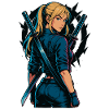 Fighter Samurai Zweikatana's Motif