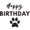 Happy Birthday dog