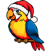 Perroquets Noël / Oiseau du Père Noël