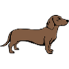 Dachshund Hunde T-shirt Geschenk