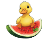 Entspanntes Sommerdesign mit Wassermelone Frucht