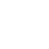 Dolphin Skateboard Wave