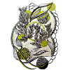 Kaleidoscopic plant graphics