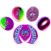 Imprimé cercle de bijoux fluo