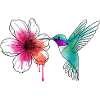 Colibri aquarelle avec hibiscus