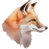Tête de renard aquarelle