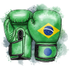 Brasil Boxing Brazil Boxing Gloves