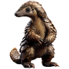 Pangolin Pangolin Pine Cone Pangolins