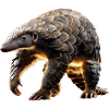 Pangolin Pangolin Pine Cone Pangolins
