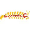 centipede