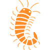 mille-pattes